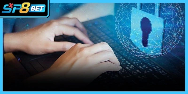Quy trình lưu trữ thông tin cá nhân được thực hiện hoàn toàn tự động