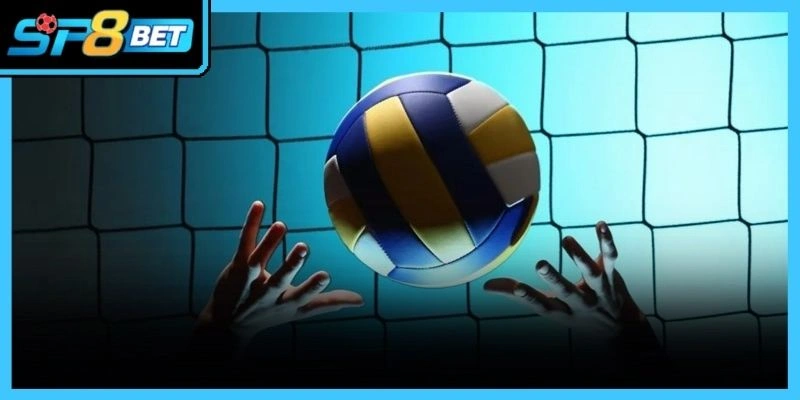 Cược bóng chuyền Sp8bet thu hút đông đảo người tham gia trải nghiệm