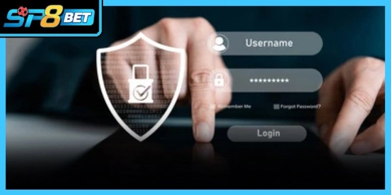 Đăng ký Sp8bet tài khoản thành viên mượt mà trên các thiết bị di động