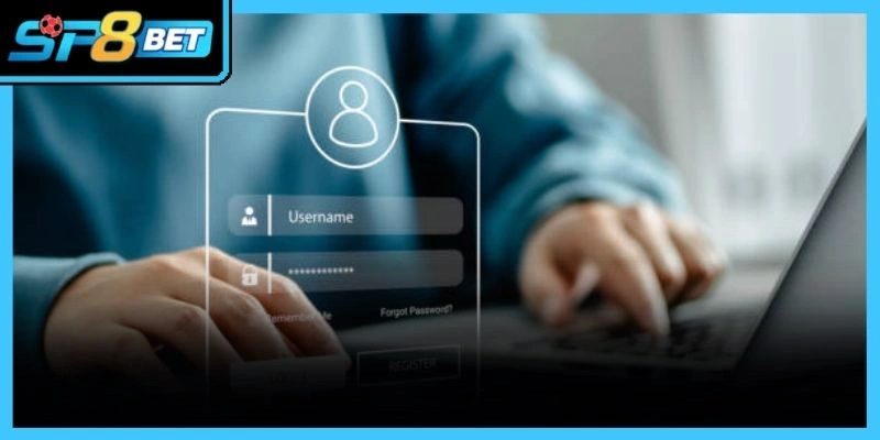 Đăng ký Sp8bet bằng máy tính mang lại trải nghiệm tổng quan nhất 2026