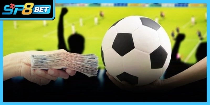 Phân tích dữ liệu bảng cược khoa học mang lại cơ hội chiến thắng lớn